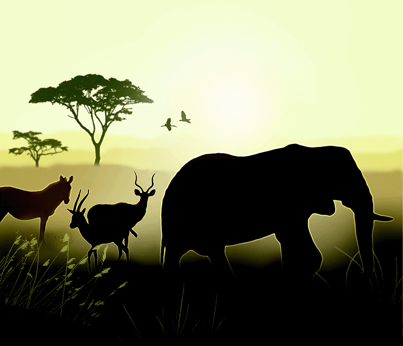 Kinderkamer | silhouet Olifant