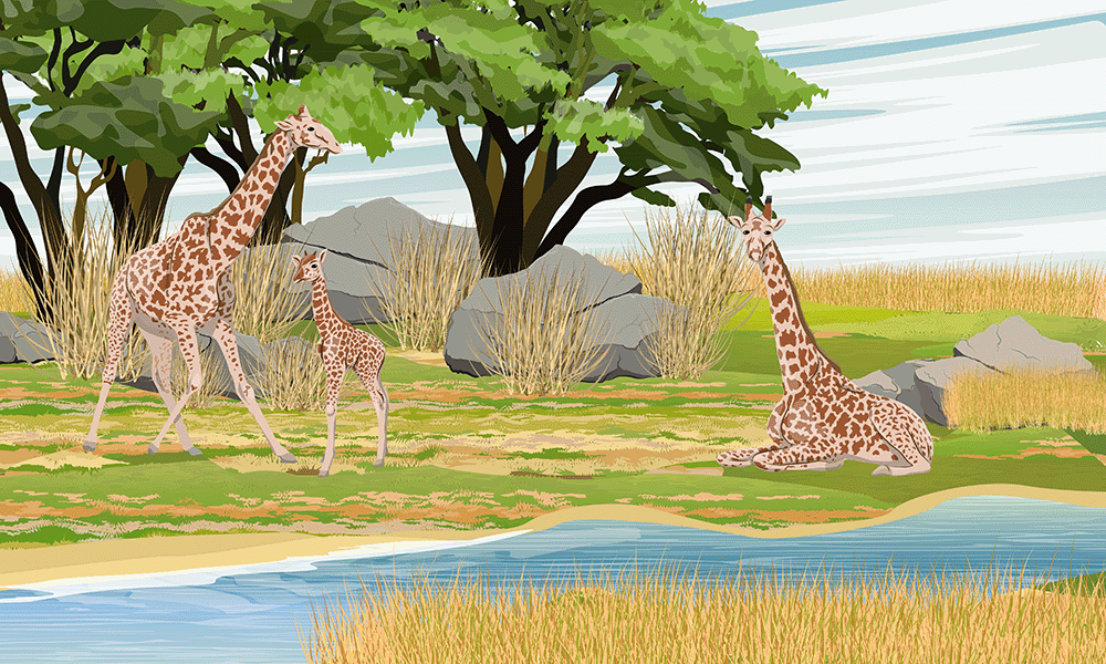 Kinderkamer | Giraffe