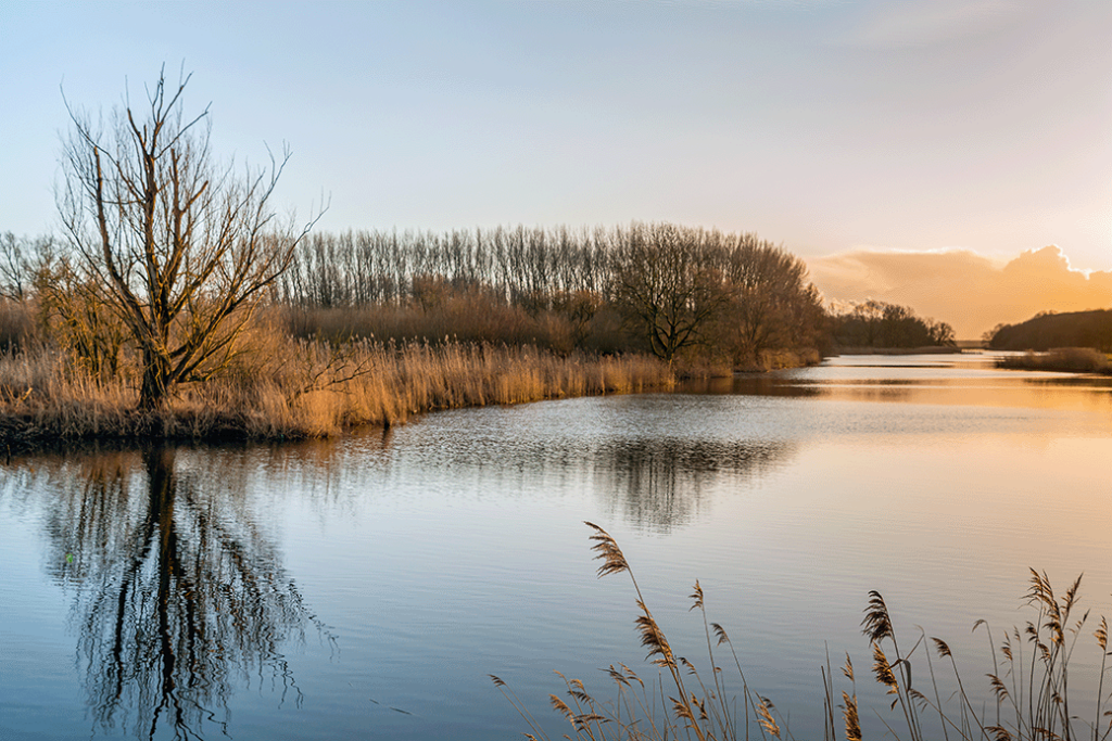 Nationaal Park de Biesbosch