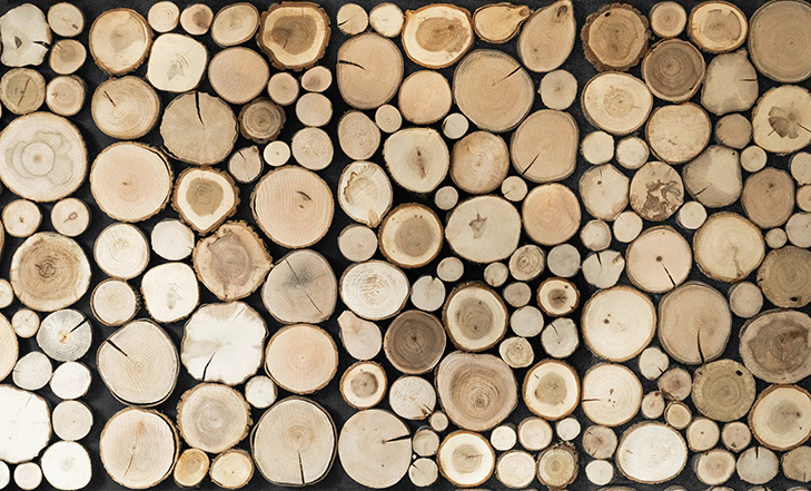 Wooden logs