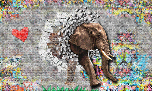 Elephant through the wall