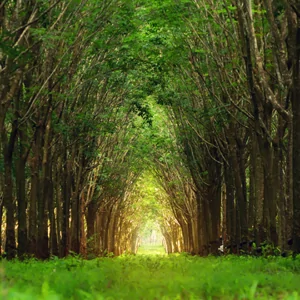 Fotobehang, paard, Boerderij, dieren