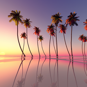 Fotobehang, strand, water