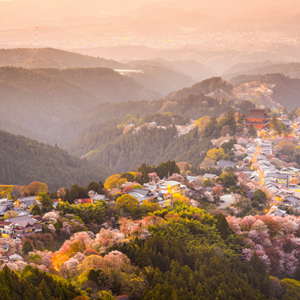 Luxe naadloos Airtex fotobehang van Mount Yoshino in Japan met kersenbloesem en bergen door Airtexmania.