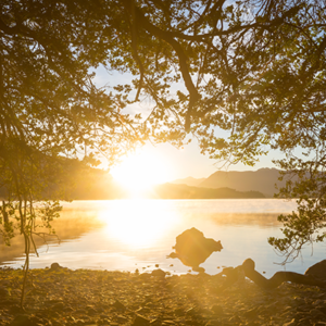 Fotobehang van een zonsopgang boven een kalm meer met ochtendmist, gezien door de takken en bladeren van bomen